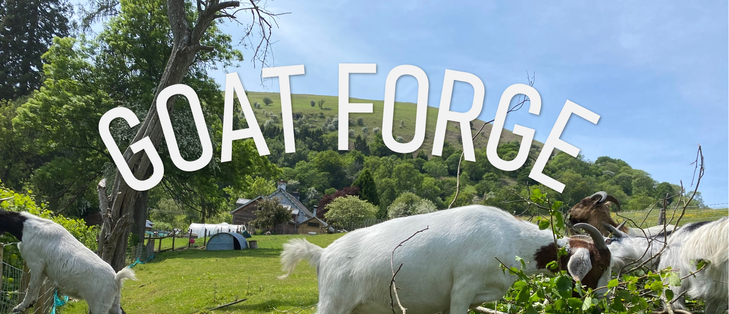 Goat Forge banner